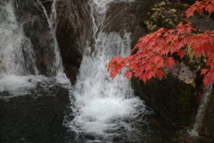 滝と紅葉　乗鞍エコーラインにて