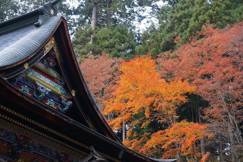 三峰神社の紅葉　3