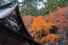 三峰神社の紅葉　3