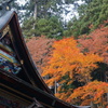 三峰神社の紅葉　3