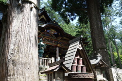 三峯神社　御神木