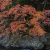 渓流沿いの紅葉　3