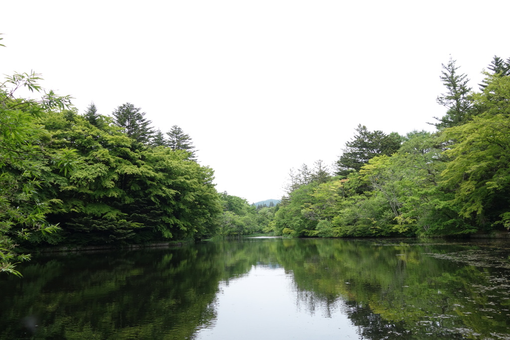 雲場池は今