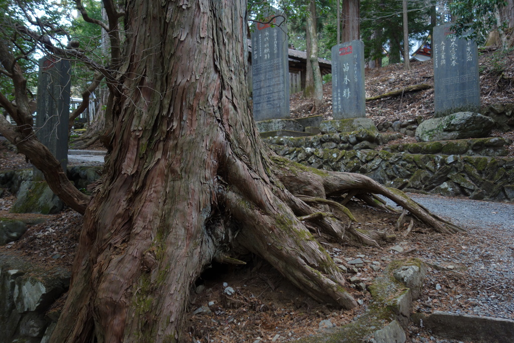 三峰神社　分かれ道