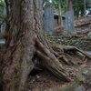 三峰神社　分かれ道