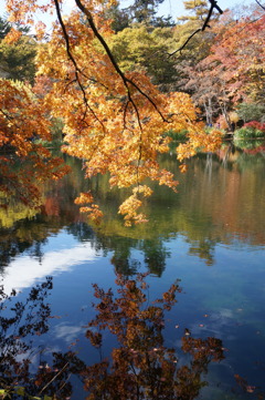 紅葉　雲場池にて