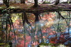 水に映る紅葉　雲場池にて