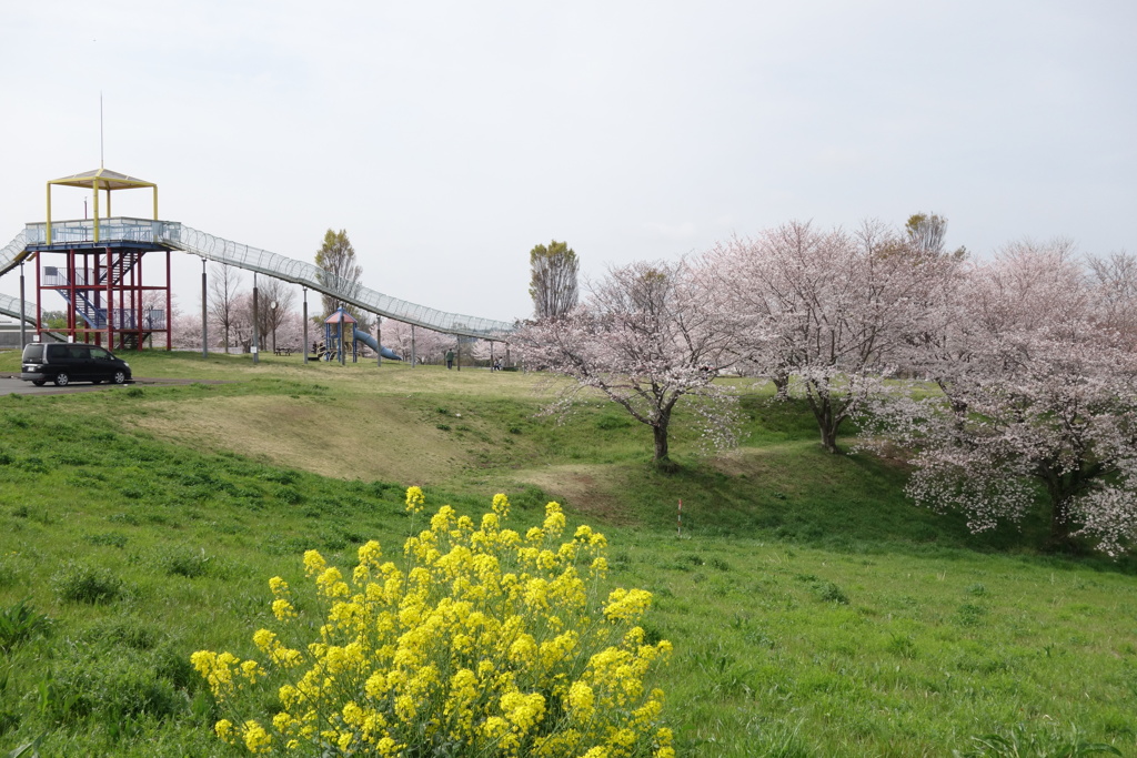 羽生スカイスポーツ公園　利根川CRにて