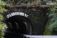来宮神社にて　トンネル