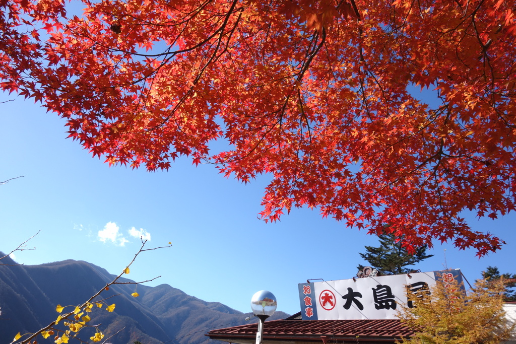 大島屋と紅葉