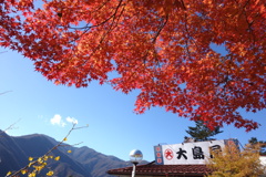 大島屋と紅葉