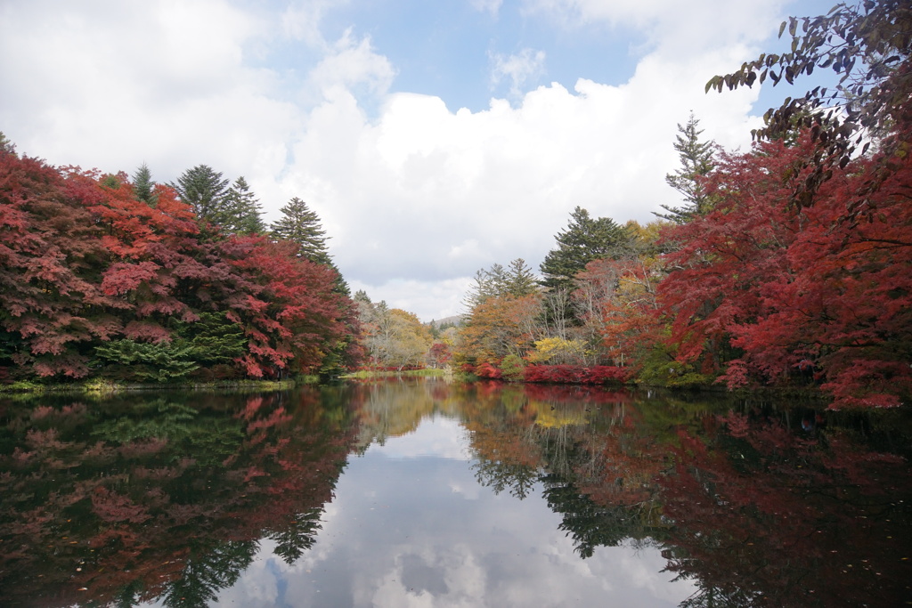 軽井沢　雲場池の紅葉