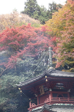 水澤観音にて　六角堂