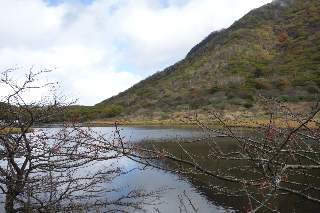 赤城山　覚満淵で見つけた秋　1