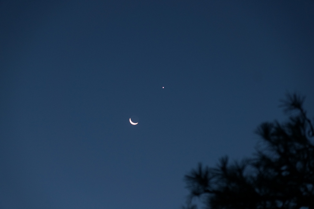三日月と金星