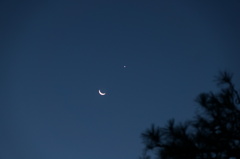 三日月と金星