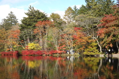 軽井沢　雲場池の紅葉　6