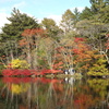 軽井沢　雲場池の紅葉　6