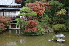 宝登山神社　池と紅葉