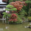 宝登山神社　池と紅葉