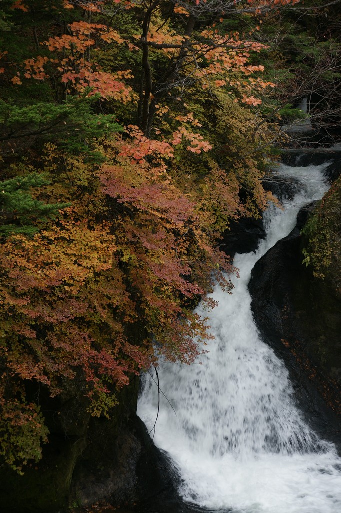 龍頭の滝