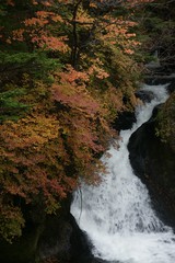 龍頭の滝