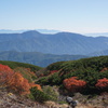 乗鞍エコーライン　低木の紅葉
