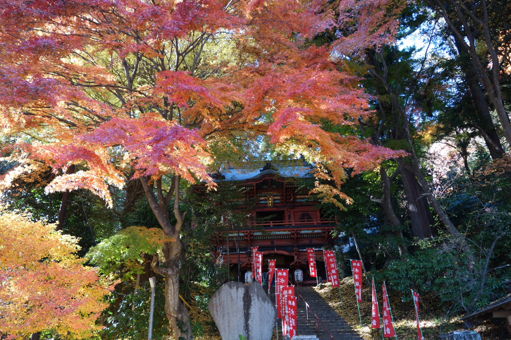 水沢観音の紅葉　2
