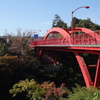 赤い橋　高津戸峡にて