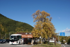バス乗り場の秋