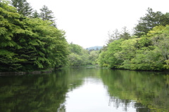 雲場池は今