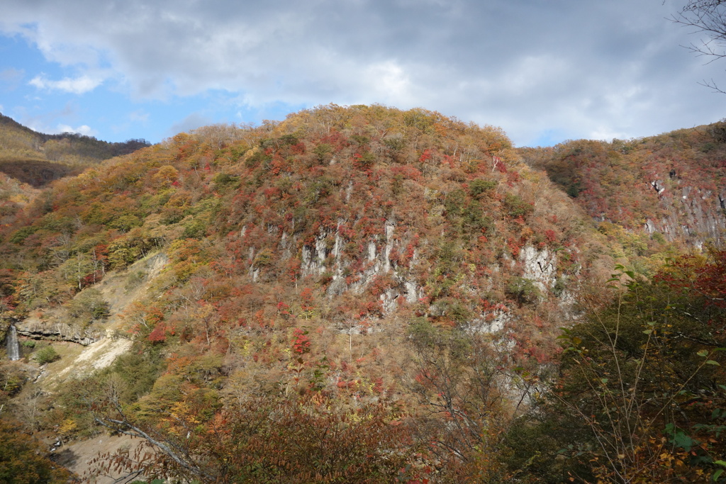 いろは坂の紅葉　③