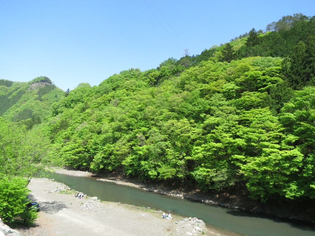 新緑　2　道の駅上野村にて