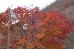 榛名湖で見つけた紅葉