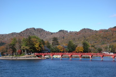 赤城神社の秋　2