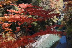 渓谷の紅葉