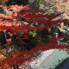 渓谷の紅葉