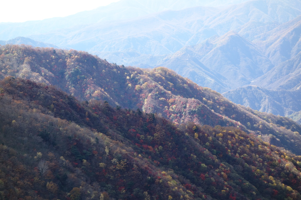 日光の紅葉　半月山にて