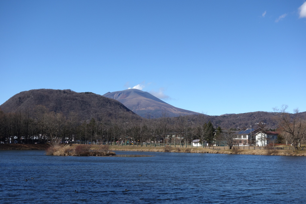 矢ヶ崎公園にて