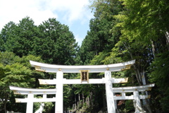 三峯神社ライド　三ツ鳥居　