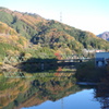 草木湖は今　1