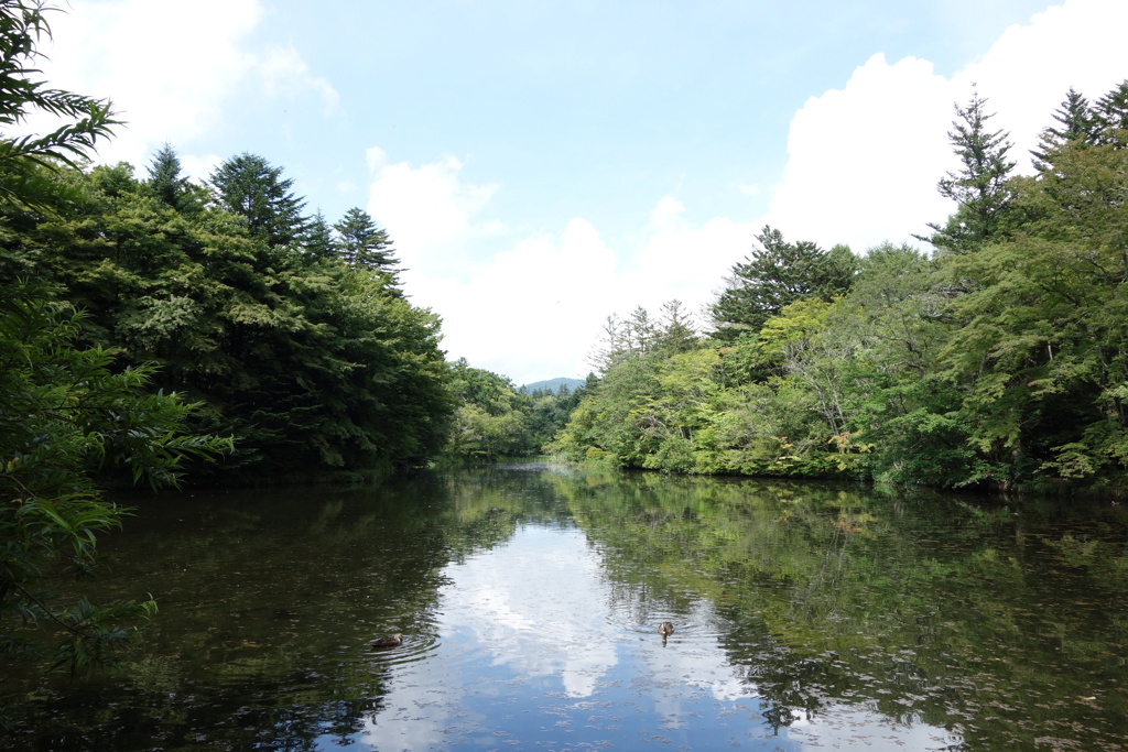 雲場池は今
