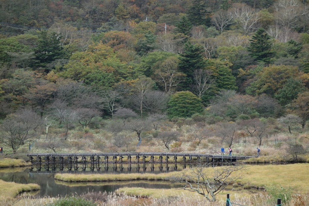 赤城山　覚満淵の秋