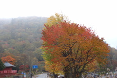 日光中禅寺湖の紅葉　2