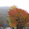 日光中禅寺湖の紅葉　2