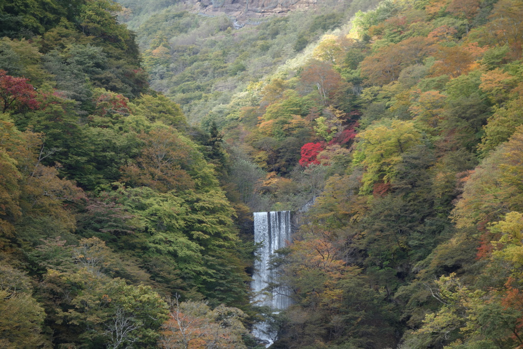 いろは坂にて　方等滝