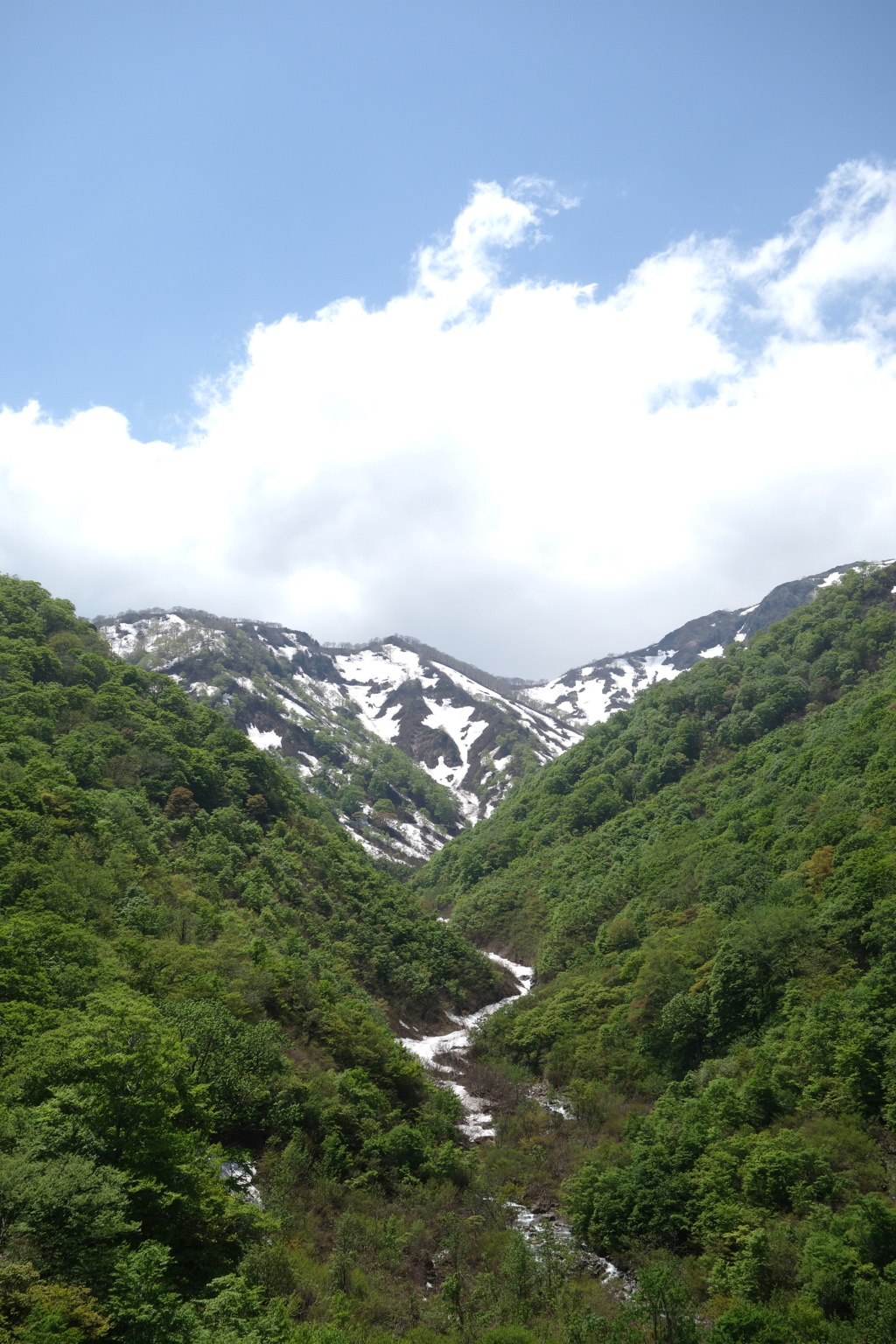 残雪と新緑　谷川岳