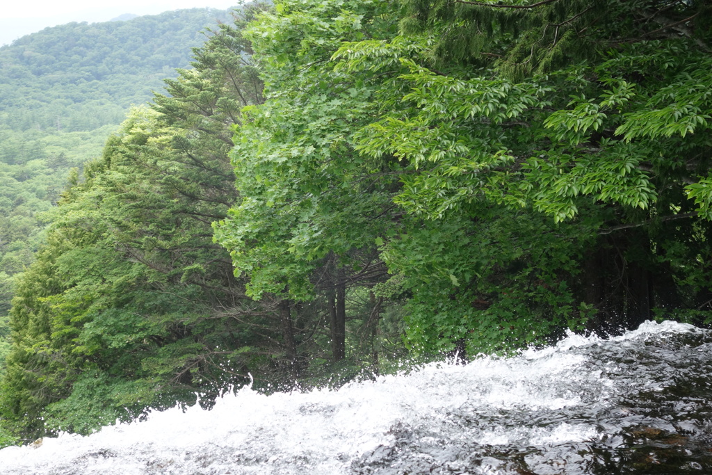 湯滝にて　滝の始まり