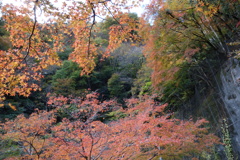 山間の紅葉　金蔵落しの渓流　②