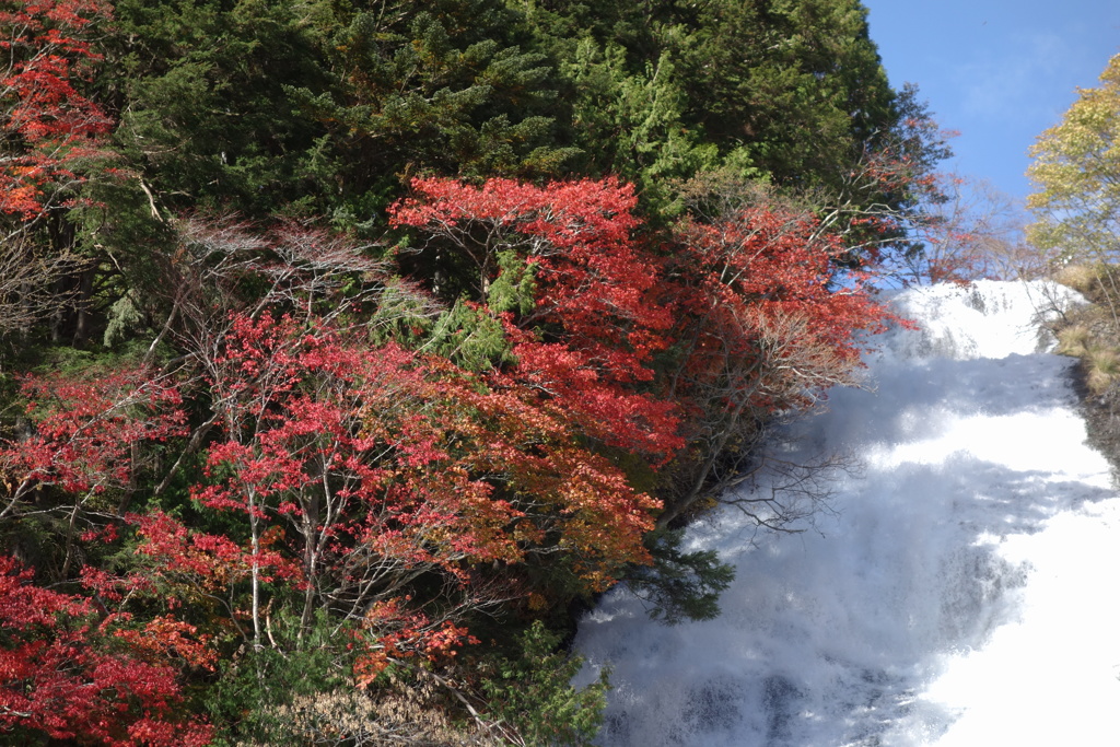 奥日光の紅葉　湯滝にて　3